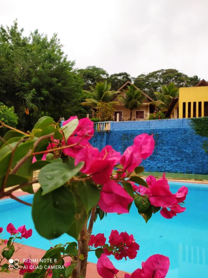 Guaramiranga-Ce Chale Do Rei Villa Buitenkant foto