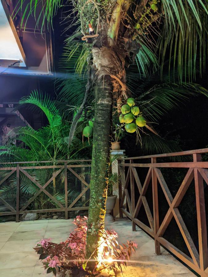 Guaramiranga-Ce Chale Do Rei Villa Buitenkant foto